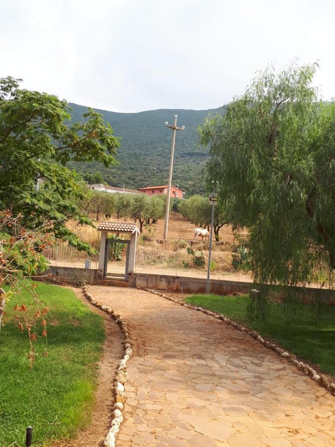 B&B Porta Del Gargano San Marco in Lamis Ngoại thất bức ảnh